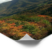 リトル・シェパードの道 ポスター (角)