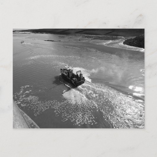 リトル・トラウラー、カーディフベイ・ハーバー - 白黒 ポストカード (正面)