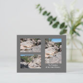 リトル・ドロレス川の城 ポストカード (スタンド正面)