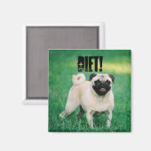 リトル・パグはあなたはダイエットに思い出させる！ マグネット (正面/裏面)