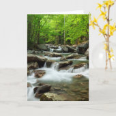 リトル・ピジョン・リバー・アット・グリーンブリア カード (黄色い花)