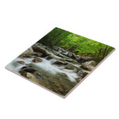 リトル・ピジョン・リバー・アット・グリーンブリア タイル (側面)