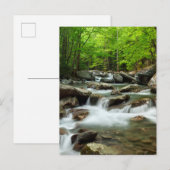 リトル・ピジョン・リバー・アット・グリーンブリア ポストカード (正面/裏面)