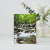 リトル・ピジョン・リバー・アット・グリーンブリア ポストカード (スタンド正面)