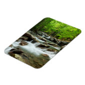 リトル・ピジョン・リバー・アット・グリーンブリア マグネット (左側)