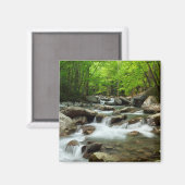 リトル・ピジョン・リバー・アット・グリーンブリア マグネット (正面/裏面)