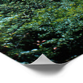 リトル・ピジョン・リバー・ポスター（歴史） ポスター (角)