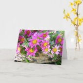 リトル・ピンクス カード (黄色い花)