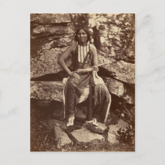 リトル・ベア，シェイン， 1875 ポストカード