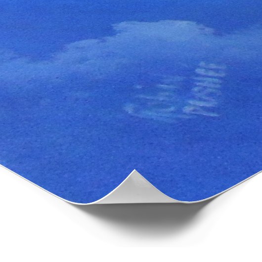 リトル・マーメイドとシーホース ポスター (角)