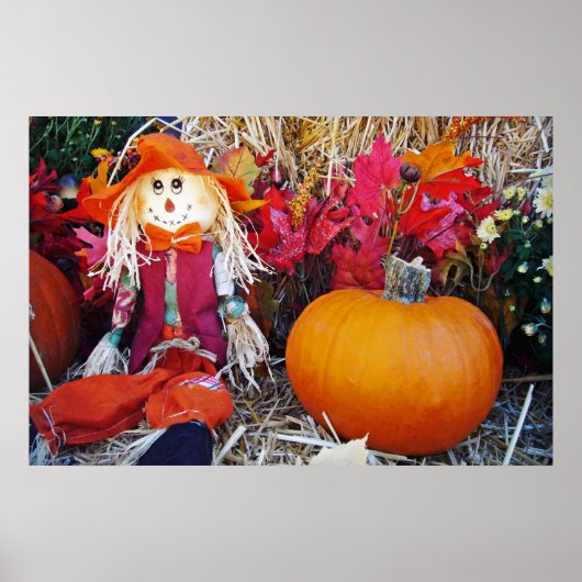 リトル・ミスター・かかし ポスター (正面)