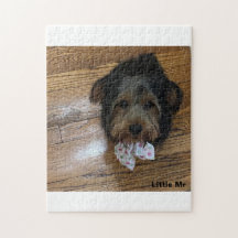 リトル・ミスター