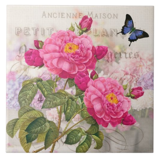 リドゥートピフランスのックローズセラミックタイル タイル (正面)