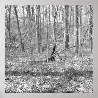 リドレクリーク州パーク ポスター