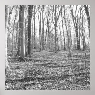 リドレクリーク州パーク ポスター