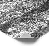 リドレクリーク州パーク ポスター (角)