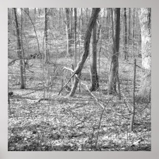 リドレクリーク州パーク ポスター