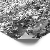 リドレクリーク州パーク ポスター (角)