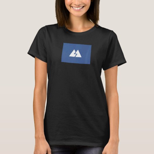 リド日本国旗 Tシャツ (正面)