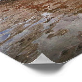 リニスファーン・カウバーグラス ポスター (角)