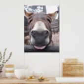 リニャアニマル – Arre burriquito ポスター (キッチン)