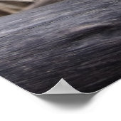 リニャアニマル – Arre burriquito ポスター (角)