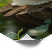 リニー&レーンベビー妖精のポスター ポスター (コーナー)