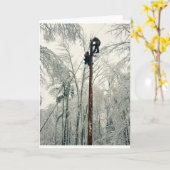 リネメン登山ポール復元力 カード (黄色い花)