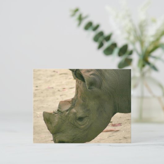 リノ ポストカード (スタンド正面)