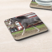 リバティクラスのミニ馬 コースター (左側)