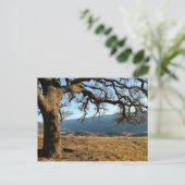 リバモア州デルヴァッレリージョナルパーク ポストカード (スタンド正面)