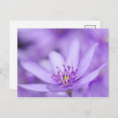 リバリーフ ポストカード (正面/裏面)