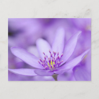 リバリーフ ポストカード