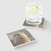 リバーオッターポートレートストーンコースター ストーンコースター (横)