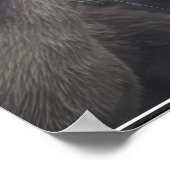 リバーキスをするオッタース ポスター (角)