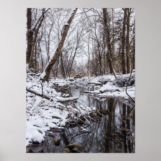 リバーサイドスノー ポスター (正面)