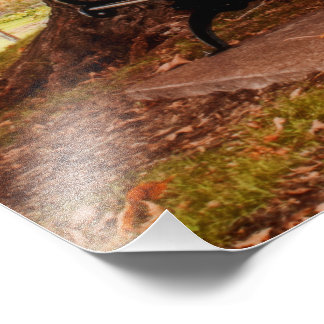 リバーサイドパークベンチス フォトプリント