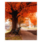 リバーサイドパークベンチス フォトプリント            (正面)