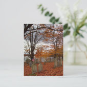 リバーサイド墓地、ニューキャッスルNH ポストカード (スタンド正面)