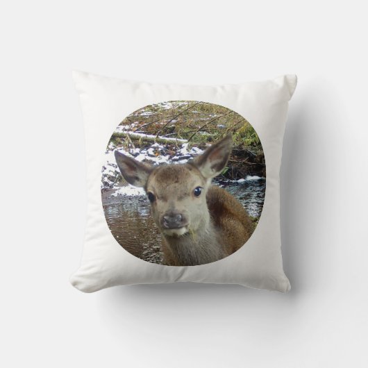 リバーシブルベビーディアランバークッション クッション (正面)