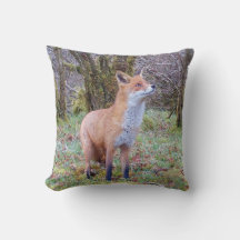 リバーシブルレッドキツネ