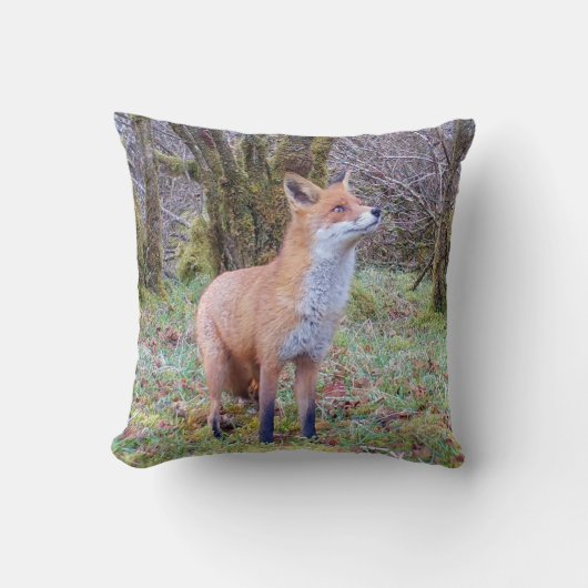 リバーシブルレッドキツネ クッション (正面)