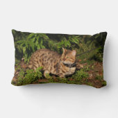 リバーシブル・サバンナ猫を枕に ランバークッション (裏面)