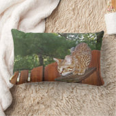 リバーシブル セルヴァル サバンナ猫 枕の上 ランバークッション (ブランケット)