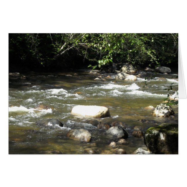 リバーシーン (正面横)