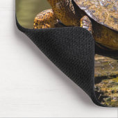 リバータートルアットトルトゥゲロ-コスタリカ マウスパッド (コーナー)