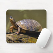 リバータートルアットトルトゥゲロ-コスタリカ マウスパッド (マウス)