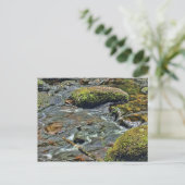 リバーダーツアットダートミートダートムーア ポストカード (スタンド正面)