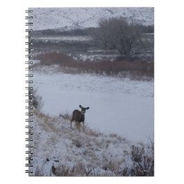 リバーバレーのD16ミューレディアドー ノートブック