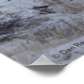 リバーバレーのD16ミューレディアドー ポスター (角)